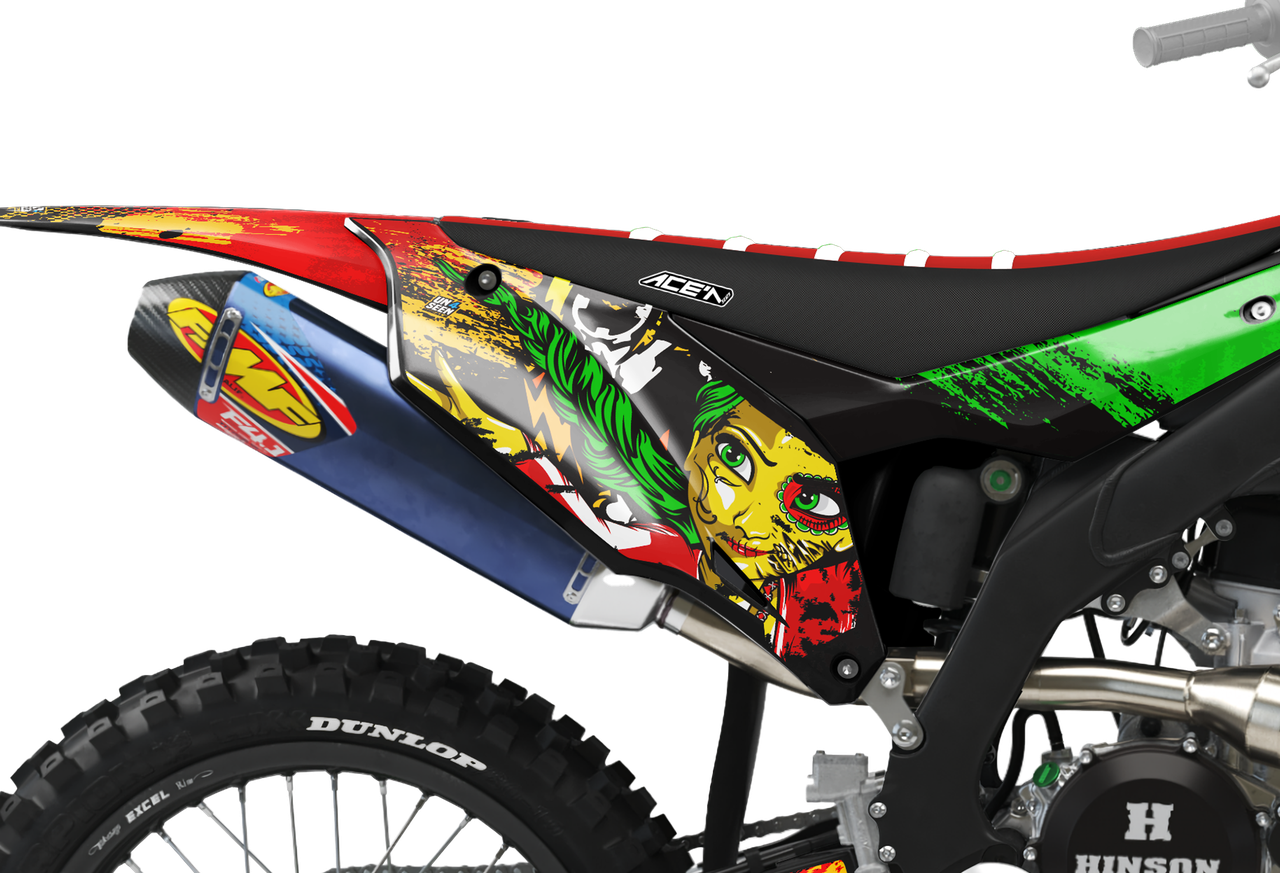 Kawasaki Zombie Graphics Kit -  Elsa
