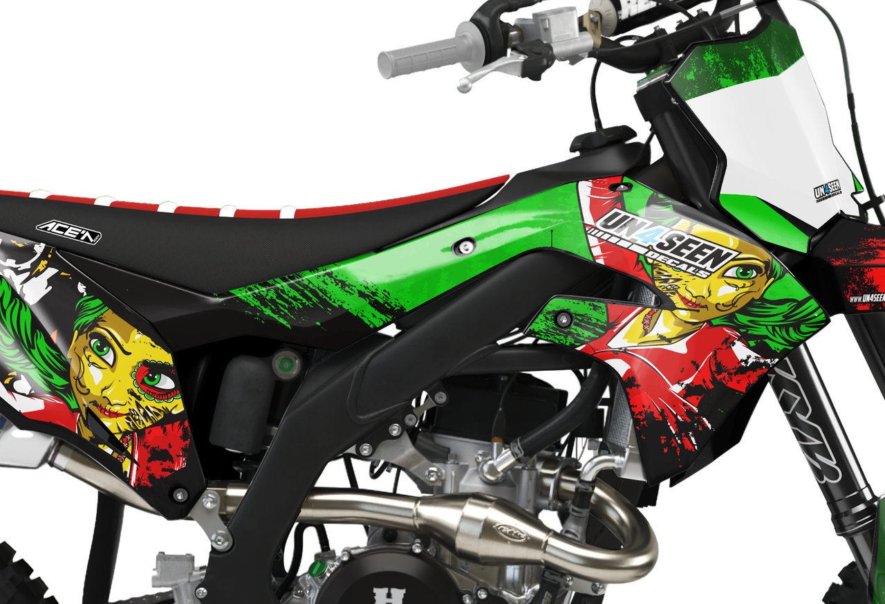 Kawasaki Zombie Graphics Kit -  Elsa