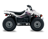 Suzuki LTZ50 ATV Graphics - Clap White