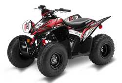 Honda TRX90 ATV Graphics - Flash Black