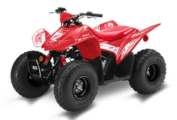 Honda TRX90 ATV Graphics - Flash Red