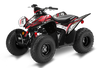 Honda TRX90 ATV Graphics - Flash Black