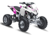 Kawasaki kfx450r ATV Graphics - Skulls & Petals