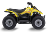Suzuki LT50A  ATV Graphics - Plaster