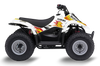 Suzuki LT50A  ATV Graphics - Retro