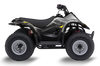 Suzuki LT50A  ATV Graphics - Charming