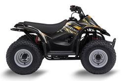 Suzuki LT50A  ATV Graphics - Diamonds