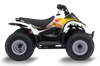 Suzuki LT50A  ATV Graphics - Ristac
