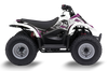 Suzuki LT50A  ATV Graphics - Skulls & Petals
