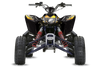Suzuki LTR450 ATV Graphics Kit - Point