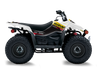 Suzuki LTZ50 ATV Graphics - Glass