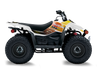Suzuki LTZ50 ATV Graphics - Ristic