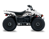 Suzuki LTZ50 ATV Graphics - Ayson James
