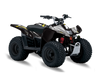 Suzuki LTZ50 ATV Graphics - Charming