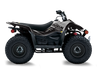 Suzuki LTZ50 ATV Graphics - Charming