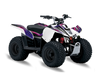 Suzuki LTZ50 ATV Graphics - Loaded