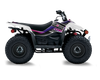 Suzuki LTZ50 ATV Graphics - Loaded