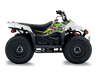 Suzuki LTZ50 ATV Graphics - RICK AND MORTY