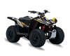 Suzuki LTZ50 ATV Graphics - Point