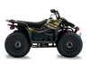 Suzuki LTZ50 ATV Graphics - Point