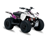 Suzuki LTZ50 ATV Graphics - Skulls & Petals