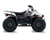 Suzuki LTZ50 ATV Graphics - Skulls & Petals