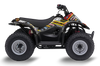 Suzuki LT50A  ATV Graphics - Camo