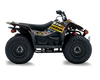 Suzuki LTZ50 ATV Graphics - Camo