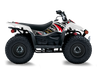 Suzuki LTZ50 ATV Graphics - Warhead White