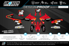 Triumph Racing Graphics Kit - Louie