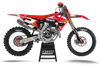 Triumph Racing Graphics Kit - Louie