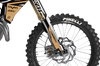Triumph Racing Graphics Kit - Smile Tan