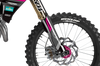 Triumph Racing Graphics Kit - Geer Pink