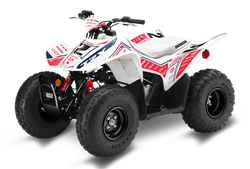 Honda TRX90 ATV Graphics - Slice Red