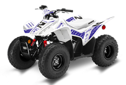 Honda TRX90 ATV Graphics - Slice Purple