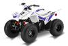 Honda TRX90 ATV Graphics - Slice Purple