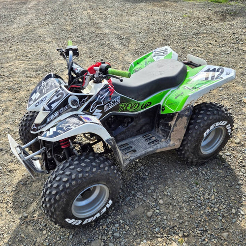2014 Suzuki LTZ50