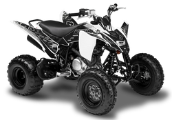 Yamaha Raptor 125 Graphics - Terminator