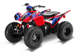 Honda TRX90 ATV Graphics - Flags