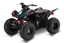 Honda TRX90 ATV Graphics - Cubs
