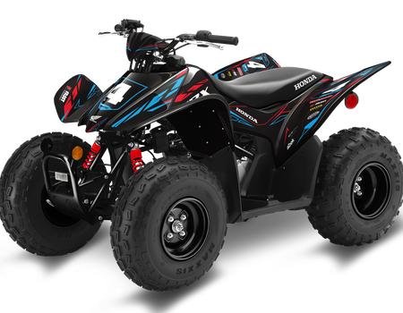 Honda TRX90 ATV Graphics - Cubs