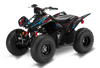 Honda TRX90 ATV Graphics - Cubs