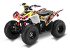 Honda TRX90 ATV Graphics - Summer