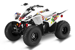 Honda TRX90 ATV Graphics - Super Mario White
