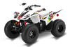 Honda TRX90 ATV Graphics - Super Mario White