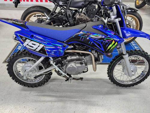 2025 Yamaha TTR110