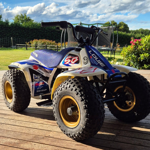 2006 Suzuki LT50