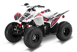 Honda TRX90 ATV Graphics - Shadow Red