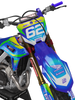 Honda Tropi Colour Graphics Kit - Queen Angelfish