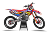 Honda Tropi Colour Graphics Kit - Princess ParrotFish